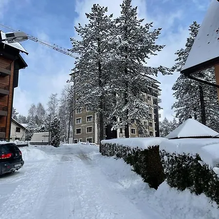 Zlatibor's Frost Zlatibor