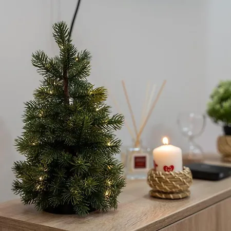 Zlatibor's Frost Apartmán *