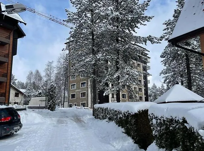 Zlatibor's Frost זלאטיבור